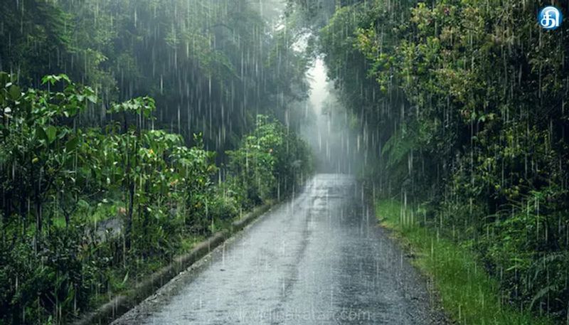 தமிழ்நாட்டில் இன்று 7 மாவட்டங்களில் கனமழைக்கு வாய்ப்பு: வானிலை மையம் தகவல்