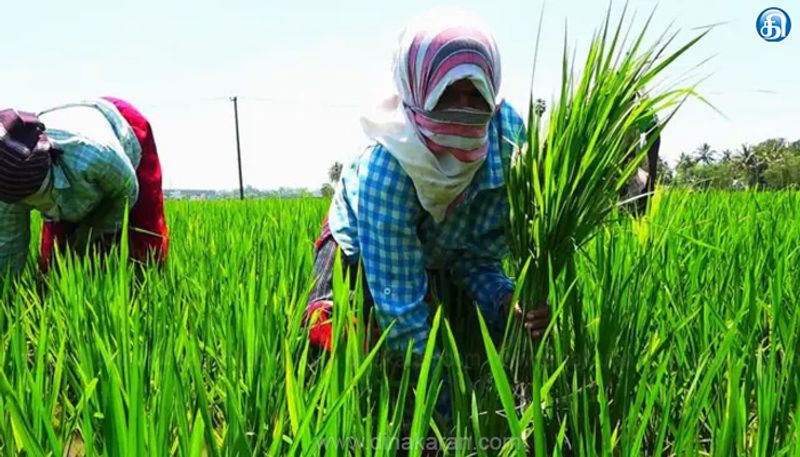 தேர்தல் வாக்குறுதி படி கடனை அரசு தள்ளுபடி செய்ய வேண்டும: தமிழ்நாடு விவசாயிகள் சங்கம் வலியுறுத்தல்