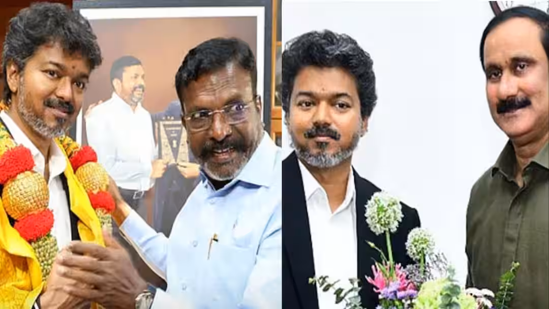 CM Vijay: உள்ளே வரும் பாமக? திருமாவை சமாதானப்படுத்த முயற்சி! கழட்டிவிட அமைச்சர்கள்