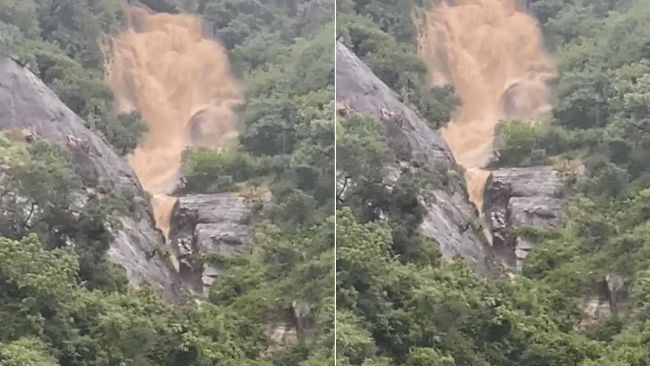 கனமழையால் மேற்குத் தொடர்ச்சி மலைப்பகுதியில் காட்டாற்று வெள்ளம்..!