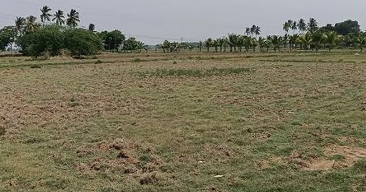 மேட்டூர் அணை நீர்மட்டம் சரிவு, சம்பா சாகுபடி தயக்கம்